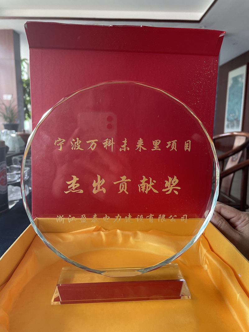 宁波万科未来里项目杰出贡献奖